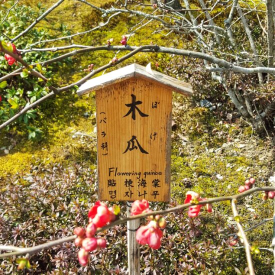 Houten plantenlabel huisje. Inspiratie voor de Japonais collectie. Temple garden plant label Kyoto.