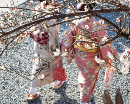Dames in kimono onder de bloesems. Ladies in kimono in Kyoto. Inspiratie voor de Japonais collectie Oogst Amsterdam
