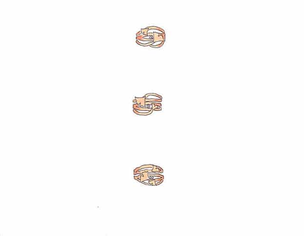 Schetsen voor ginkgo ring. Sketches for Ginkgo ring. Oogst Amsterdam