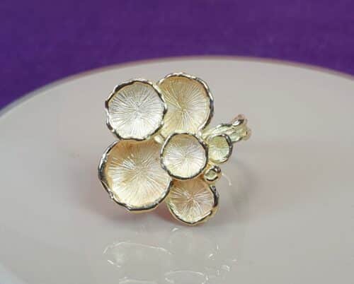 gouden ring zwammen: geoogst