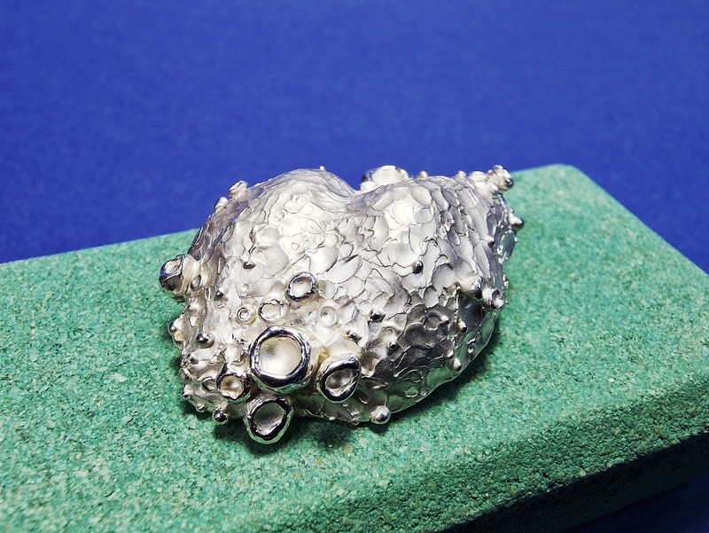 Silver brooch Cloud. Standout cloud with sturdy texture and berries and peaches motives. Oogst Original.