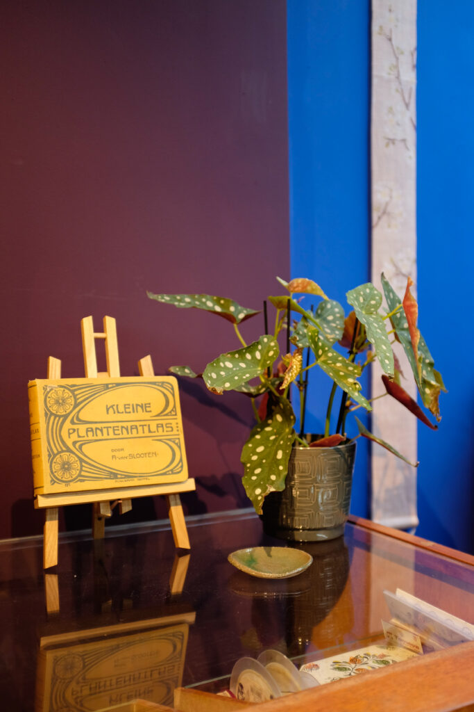 Verzamelingen, boeken en planten in het Oogst atelier ter inspiratie voor de sieraden.